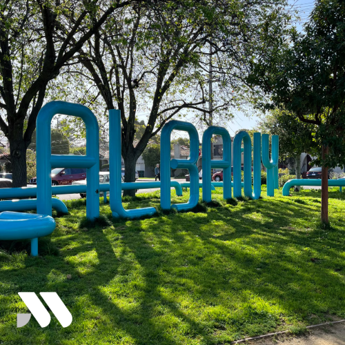 Large Albany community sign displayed in a public park setting surrounded by trees and green grass in Albany, California.