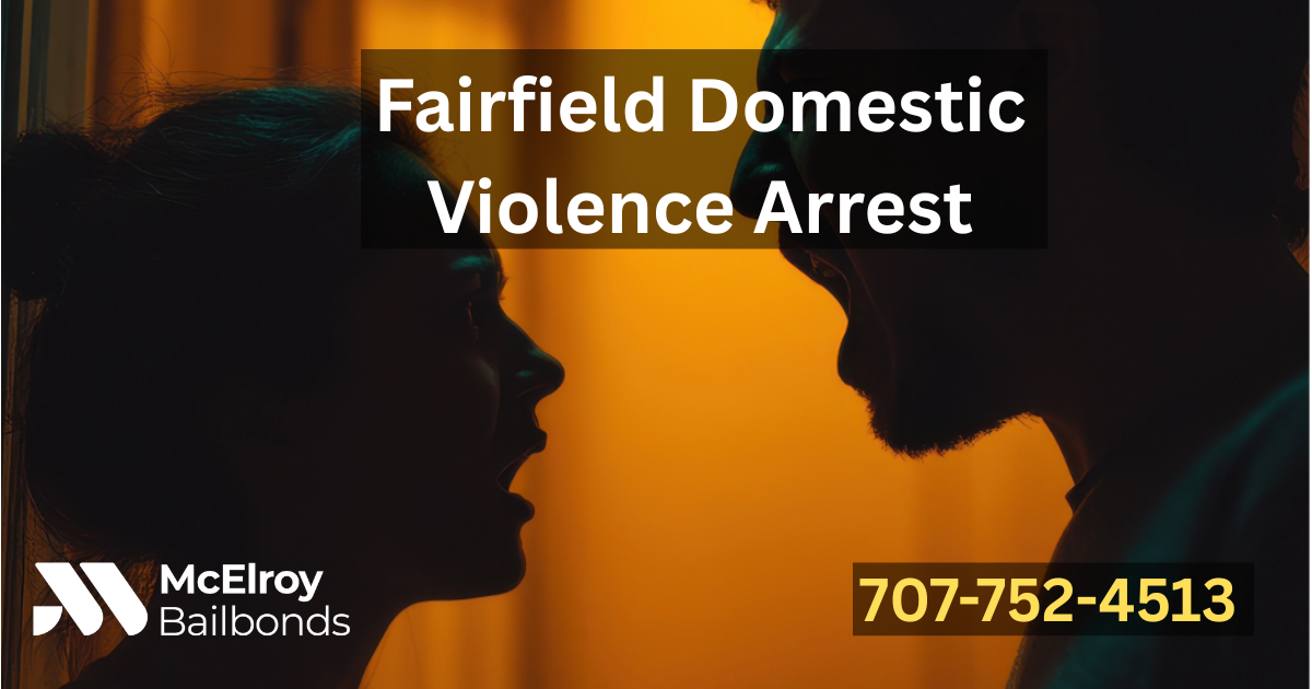 Silhouetted man and woman engaged in a heated argument, representing a domestic violence arrest scenario in Fairfield, California.